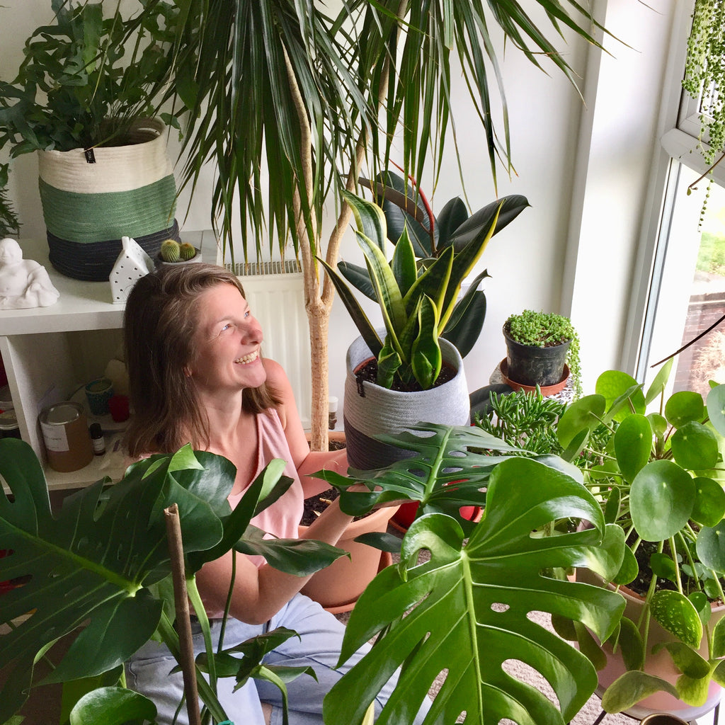 The Value of Plants in Lockdown Twig Plants