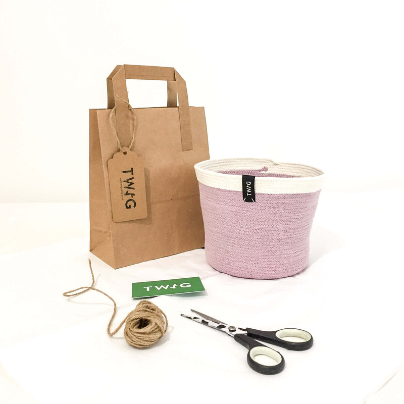 Cotton plant pot packaged as a gift