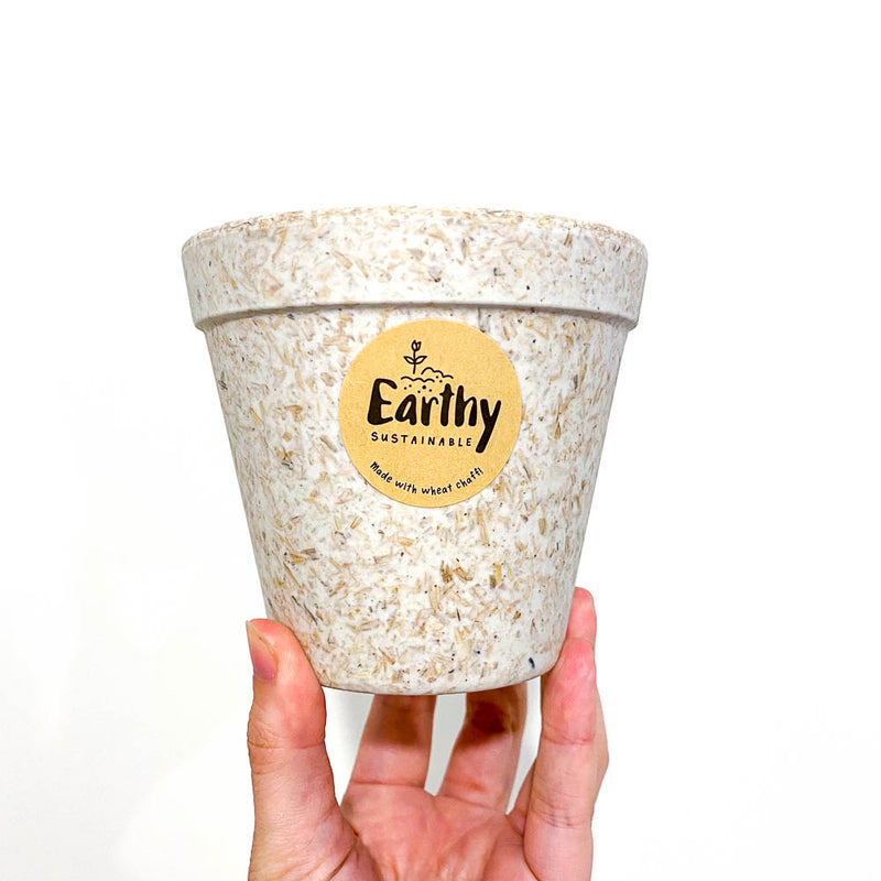 Earthy Sustainable Pots