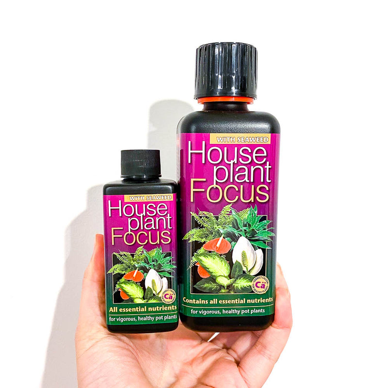 Houseplant Focus Liquid Fertiliser