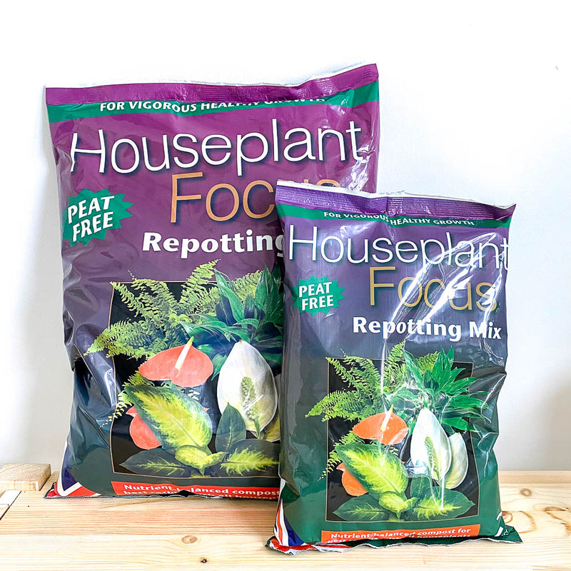 Other - Houseplant Compost (Peat Free)